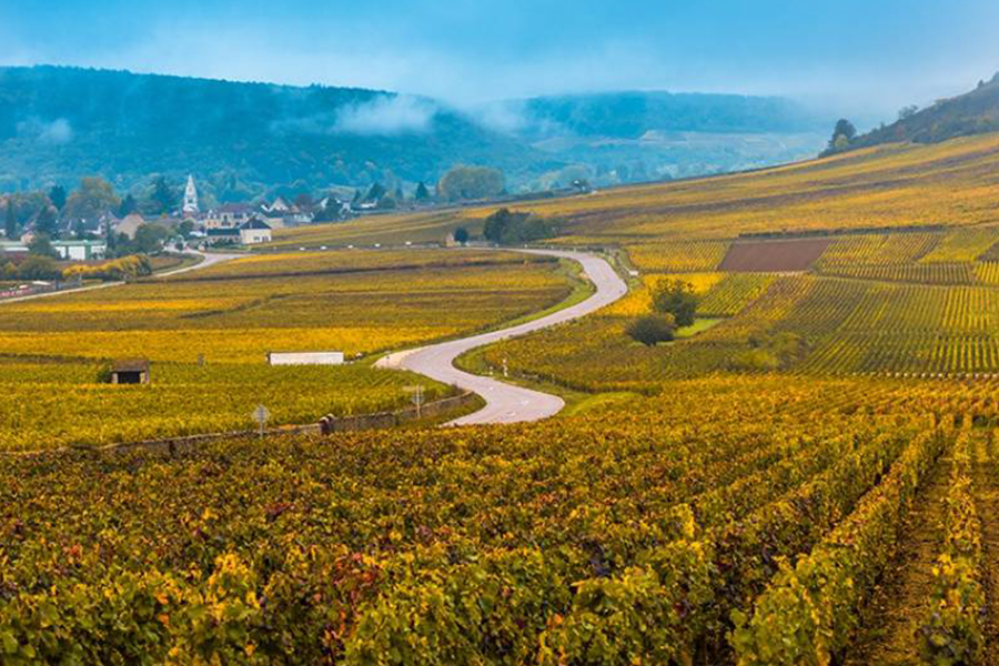 Route des vins - weekend en bourgogne - bourgogne aventure